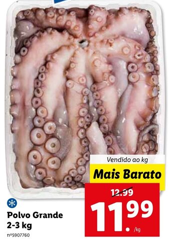 Lidl Polvo Grande 2-3kg promoção