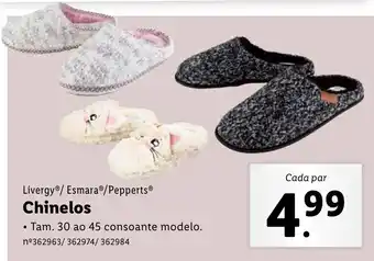 Livergy /Esmara/Pepperts Chinelos 30 ao 45