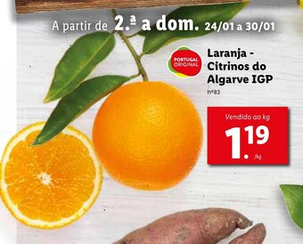 Lidl Laranja Citrinos do Algarve IGP promoção