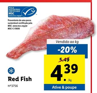 Lidl Red Fish promoção