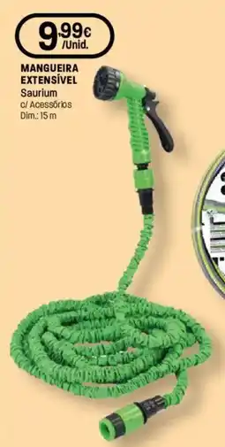 Intermarché Mangueira extensivel Saurium promoção