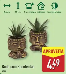 ALDI Buda com Suculentas promoção