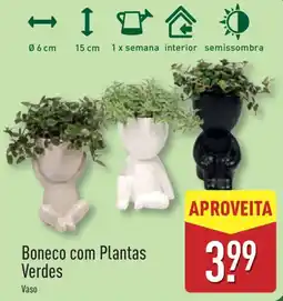 ALDI Boneco com Plantas Verdes promoção