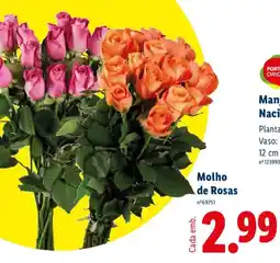 Lidl Molho de Rosas promoção