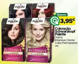 Supermercados Preços Baixos Coloração Schwarzkopf Palette promoção