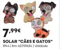 Bricomarché Solar "cães e gatos" promoção