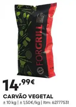 Bricomarché Carvão vegetal promoção