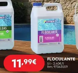 Bricomarché Floculante promoção