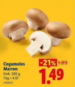 Lidl Cogumelos Marron promoção
