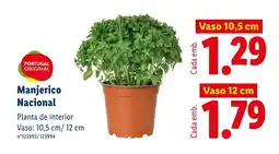 Lidl Manjerico Nacional Vaso 10,5 cm promoção