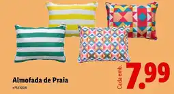 Lidl Almofada de Praia promoção