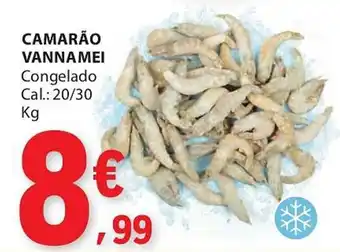 Camarão vannamei