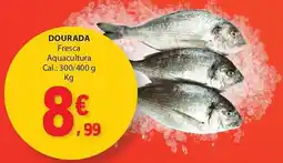 E.Leclerc Dourada promoção