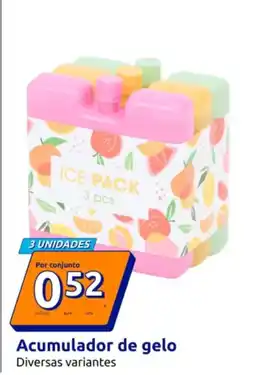 Action Acumulador de gelo promoção