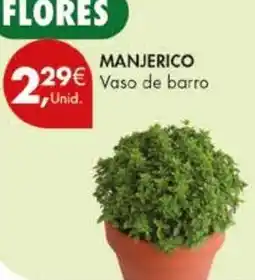 Pingo Doce Manjerico vaso de barro promoção