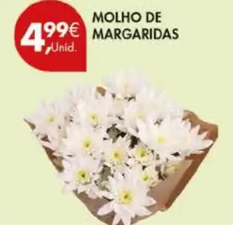 Pingo Doce Molho de margaridas promoção