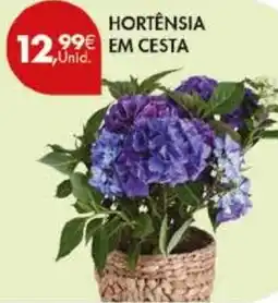 Pingo Doce Hortensia em cesta promoção