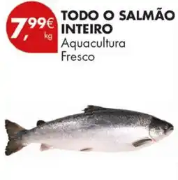 Pingo Doce Todo o salmão inteiro aquacultura fresco promoção