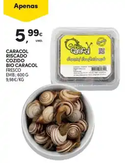 Continente Caracol riscado cozido bio caracol fresco promoção