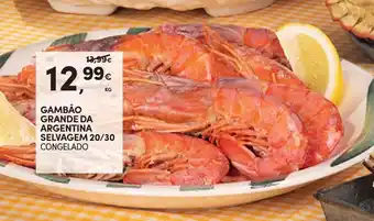 Continente Gambão grande da argentina selvagem 20/30 promoção