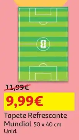 Auchan Tapete Refrescante Mundial 50 x 40 cm promoção