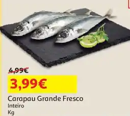 Auchan Carapau Grande Fresco promoção