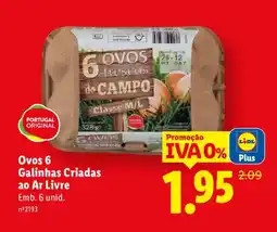 Lidl Ovos 6 Galinhas Criadas ao Ar Livre promoção