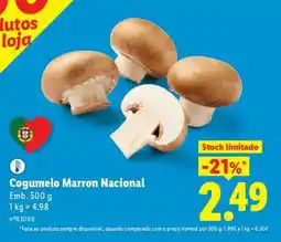 Lidl Cogumelo Marron Nacional promoção
