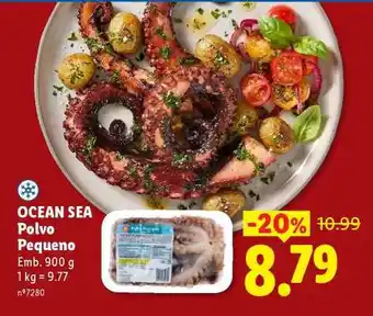 Lidl Ocean Sea Polvo Pequeno promoção