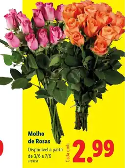 Lidl Molho de Rosas promoção