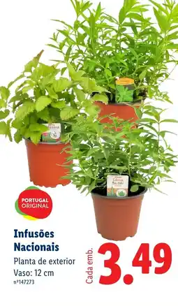 Lidl Infusões Nacionais promoção