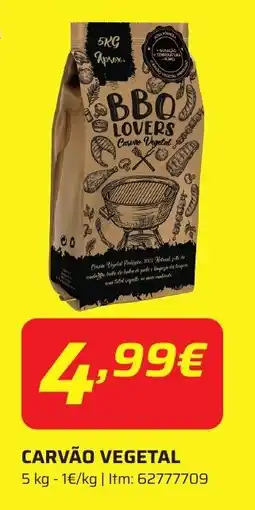 Bricomarché Carvão vegetal promoção