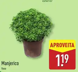 ALDI Manjerico promoção