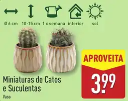 ALDI Miniaturas de Catos e Suculentas promoção
