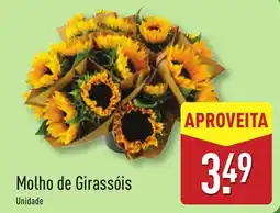 ALDI Molho de Girassóis promoção