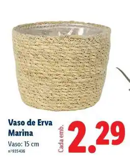 Lidl Vaso de Erva Marina promoção