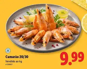 Camarão 20/30
