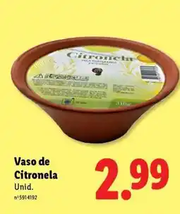 Lidl Vaso de Citronela promoção