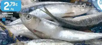Intermarché Sardinha congelada promoção