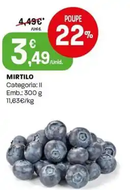 Intermarché Mirtilo promoção