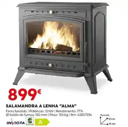 Bricomarché Salamandra a lenha "alma" promoção