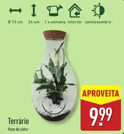 ALDI Terrário promoção