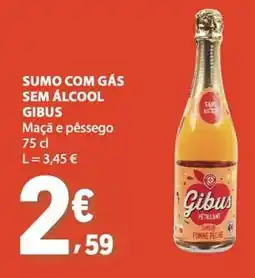 E.Leclerc Sumo com gás sem álcool gibus promoção