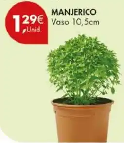 Pingo Doce Manjerico promoção