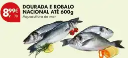 Pingo Doce Dourada e robalo nacional promoção