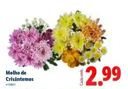 Lidl Molho de Crisântemos promoção