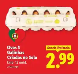 Lidl Ovos S promoção