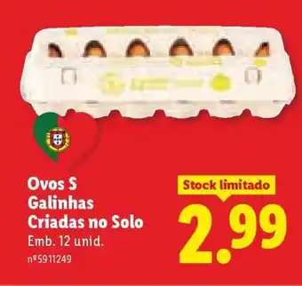 Lidl Ovos S promoção