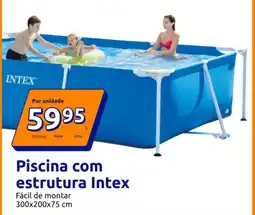 Action Piscina com estrutura Intex promoção
