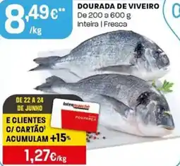 Intermarché Dourada de viveiro promoção